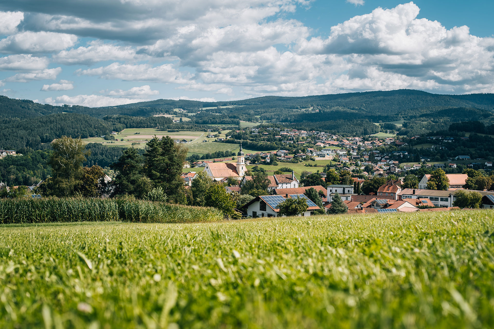 eine Stadtlandschaft mit einem Hügel und Bäumen